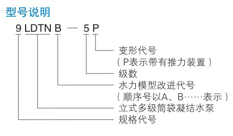 電站泵型號說明