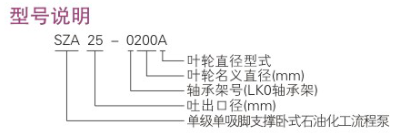 ZE型石油化工流程泵型號(hào)說(shuō)明